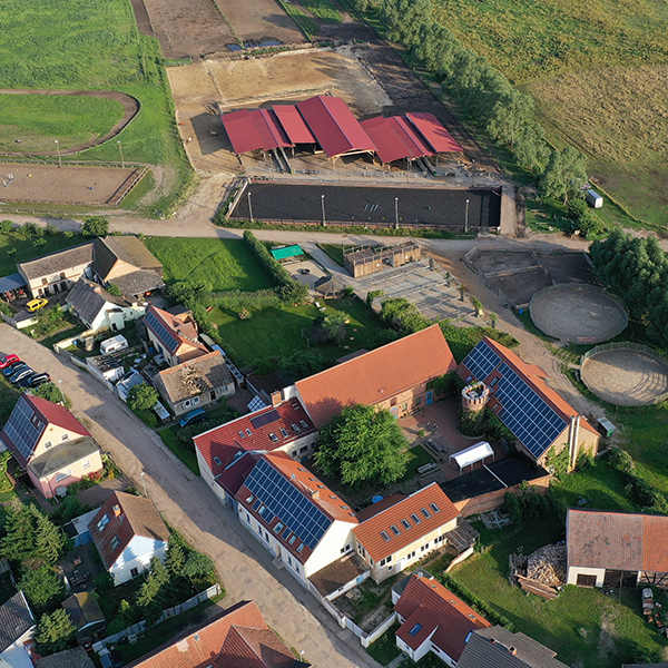 Reiter- & Erlebnisbauernhof Groß Briesen